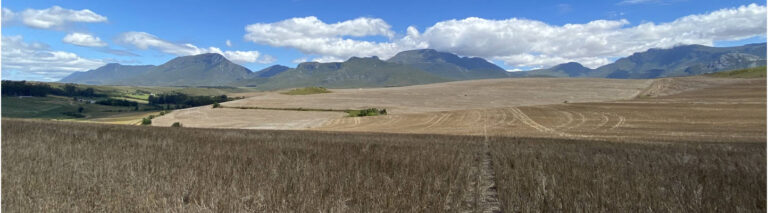 South Africa, Regenerative Agricultuure