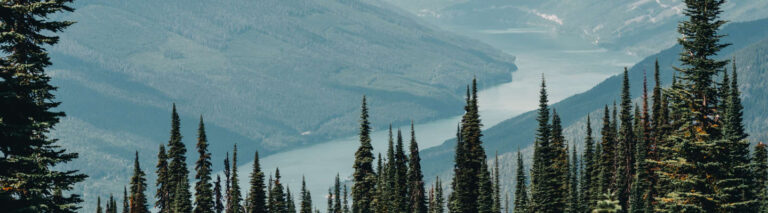 Invest, Canadian Forest