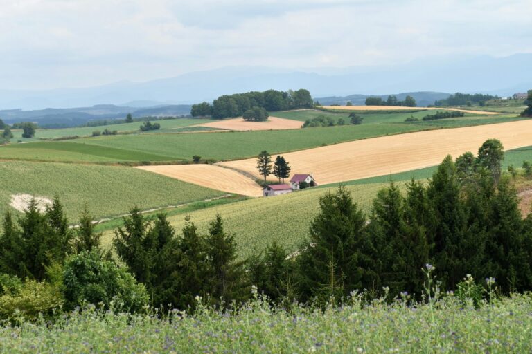 North Carolina Agricultural Fields with a Farmer House