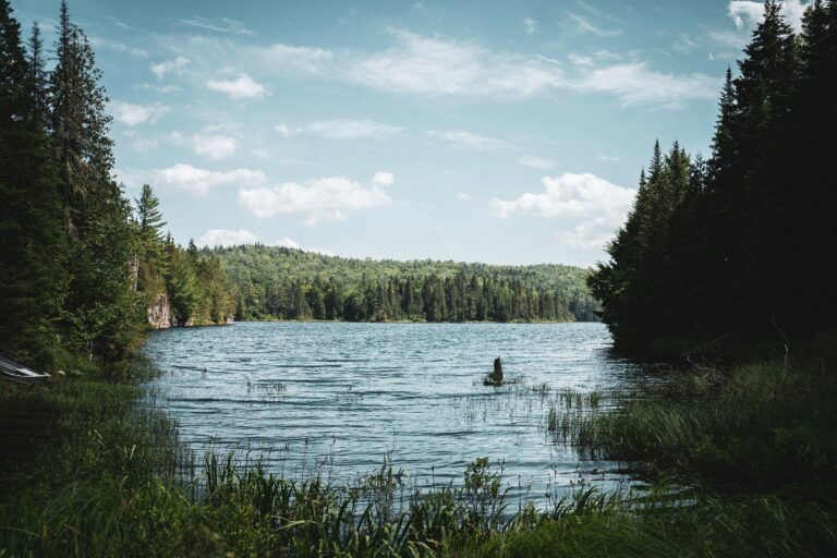 Image of Nature, a lake surrounded by evergreen trees