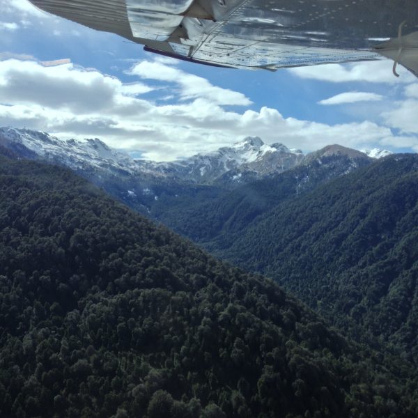 2014-11-01 10.26.20 HDR (2)