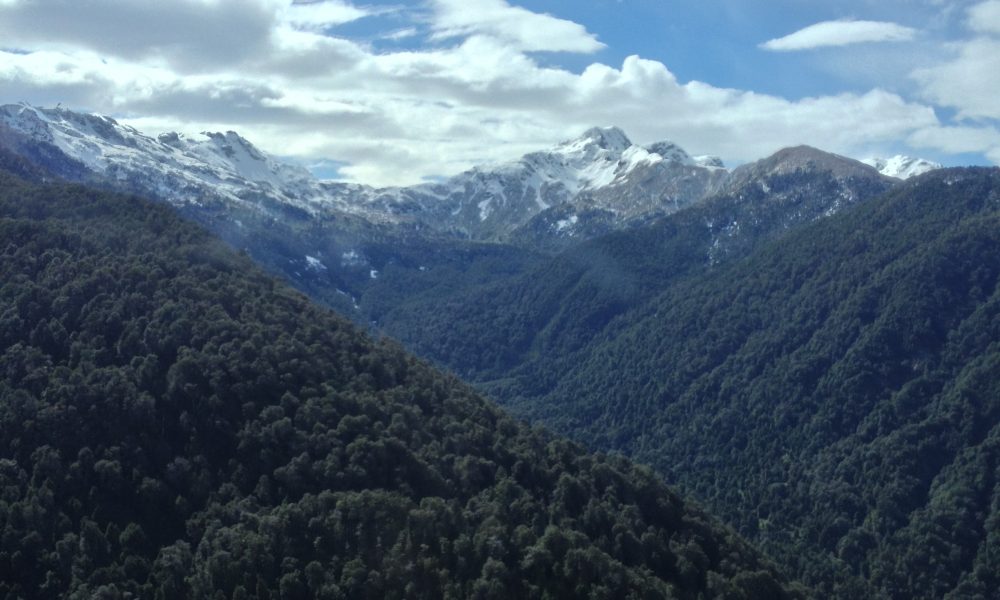 2014-11-01 10.26.20 HDR (2)