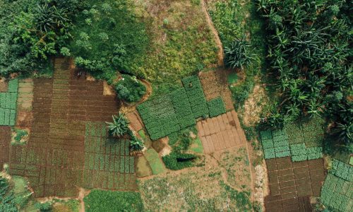 Aerial Photo of Agriculture in Africa