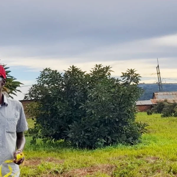 Local stakeholders in a community avocado farm in Tanzania