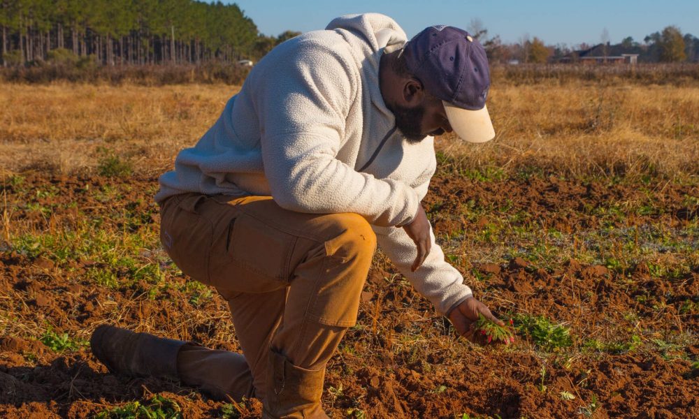 Patrick in Field