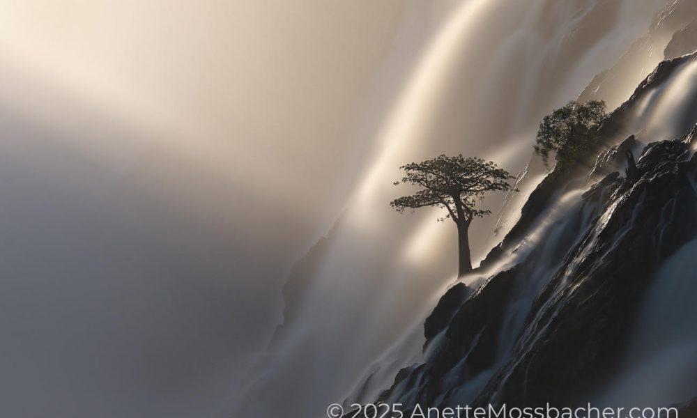 A beautiful Baobab tree is standing between the waterfalls in this fine art landscape photograph.