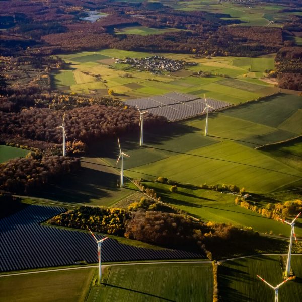 bernd-dittrich-gFud7-XmQvk-unsplash