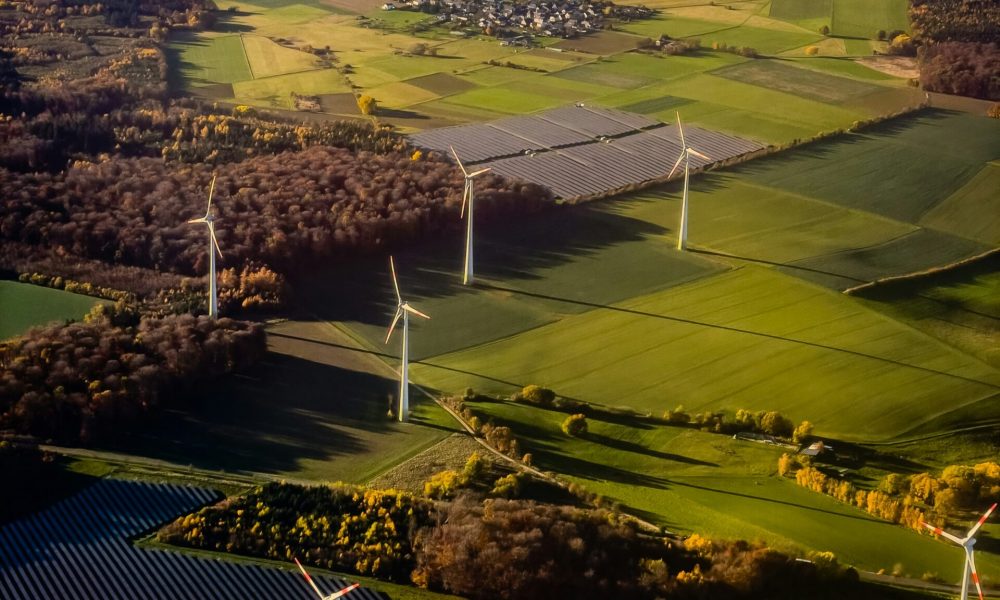 bernd-dittrich-gFud7-XmQvk-unsplash