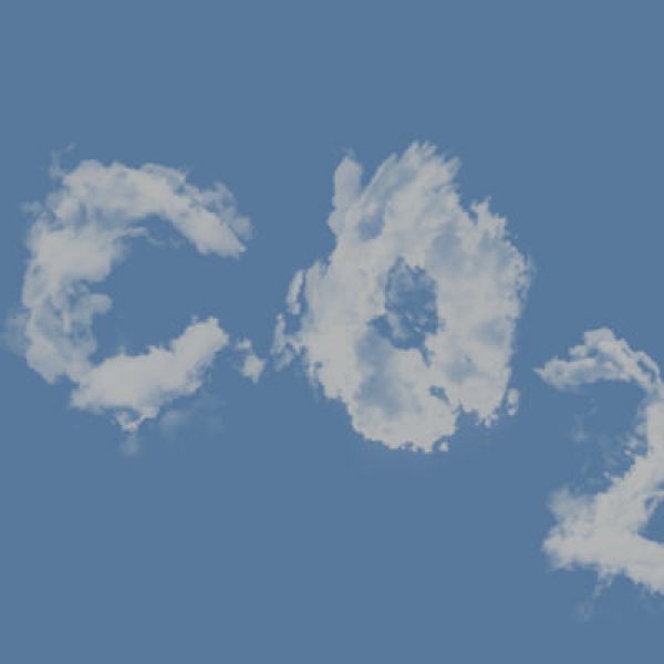 Carbon Offset