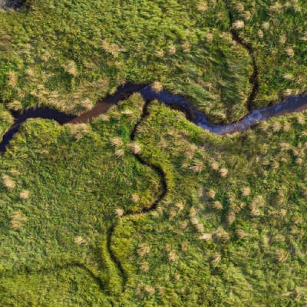 Nature-based Solutions
