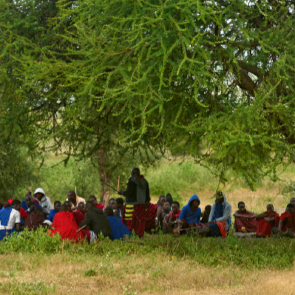 farmers under tree