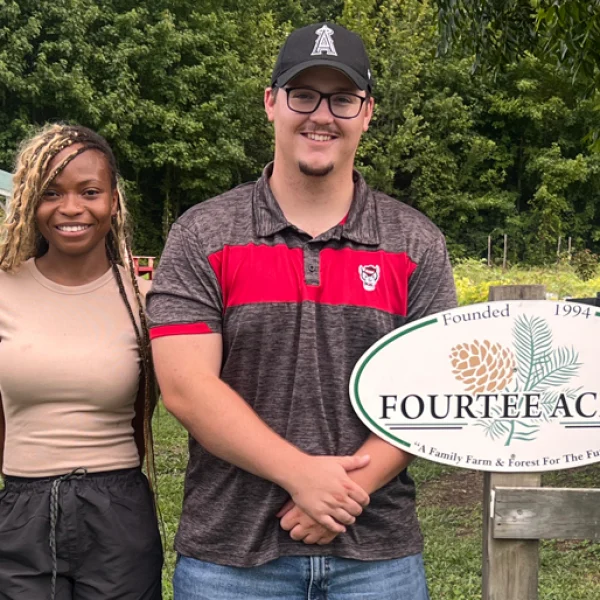 fourtree-header