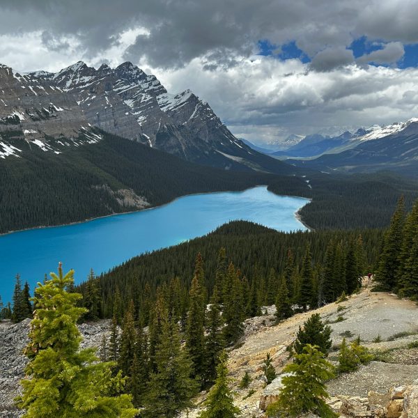 haydn-_3haRStjOdc-unsplash