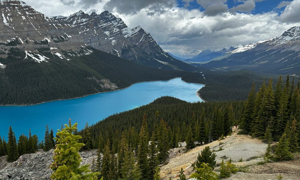 haydn-_3haRStjOdc-unsplash