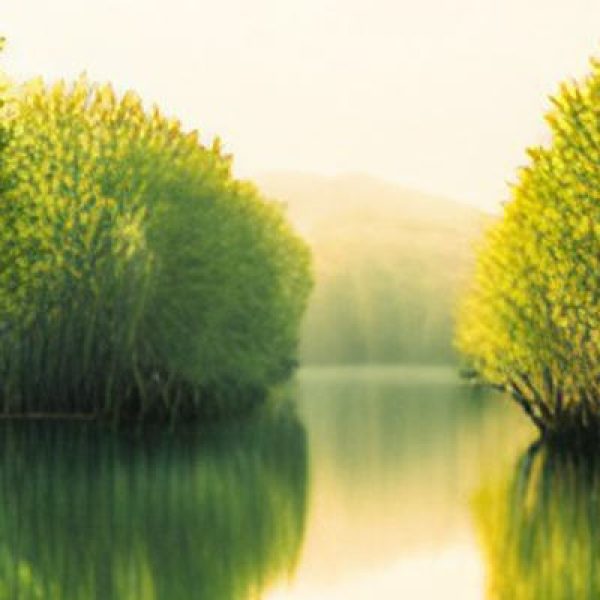 Earth Day 2023, Biodiversity is Today's Capital