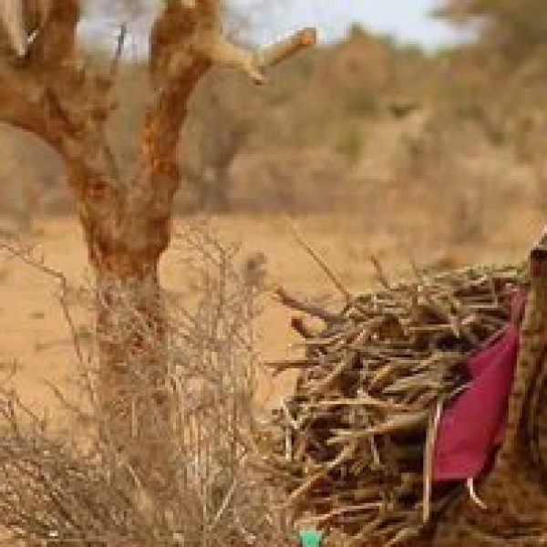 new-somali-women-in-desert