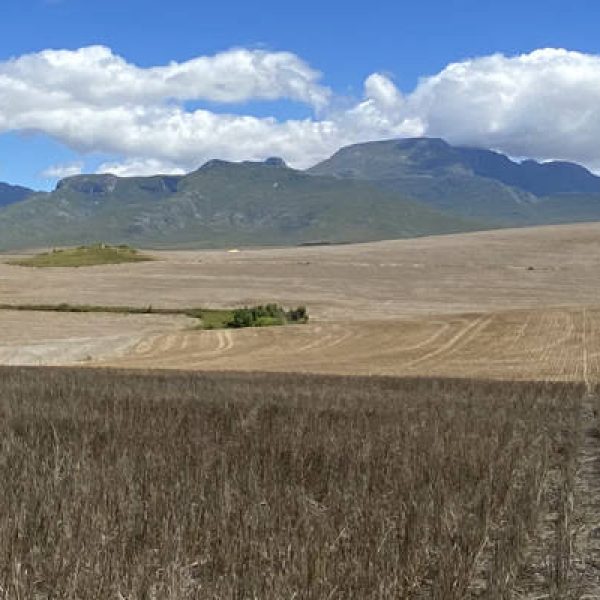 South Africa, Regenerative Agricultuure