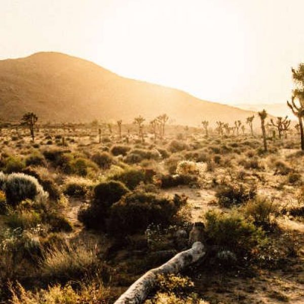 sa-blog-header