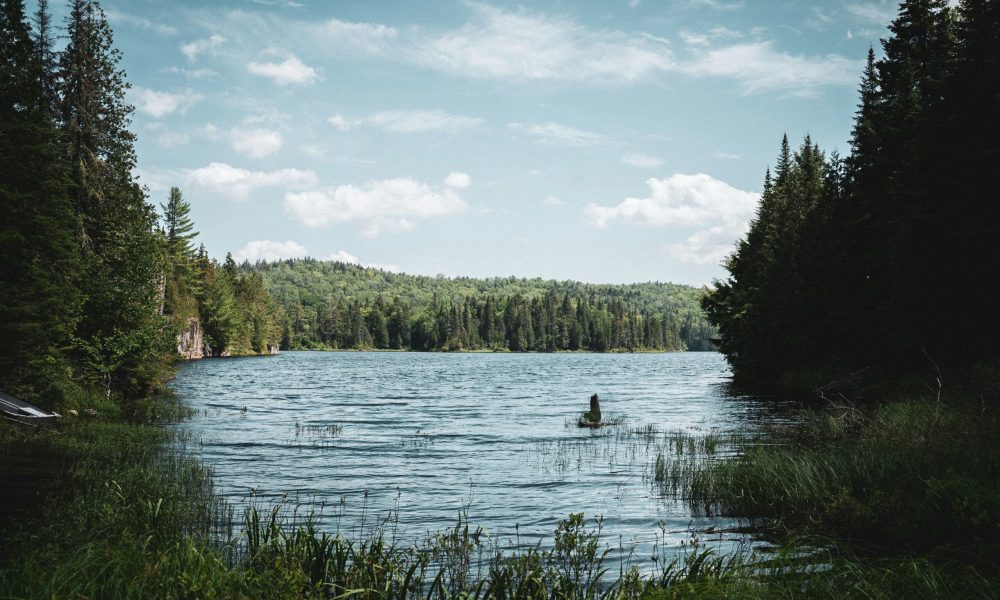Image of Nature, a lake surrounded by evergreen trees