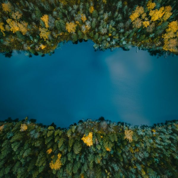 unsplash-community-XmV3DUhgQZw-unsplash