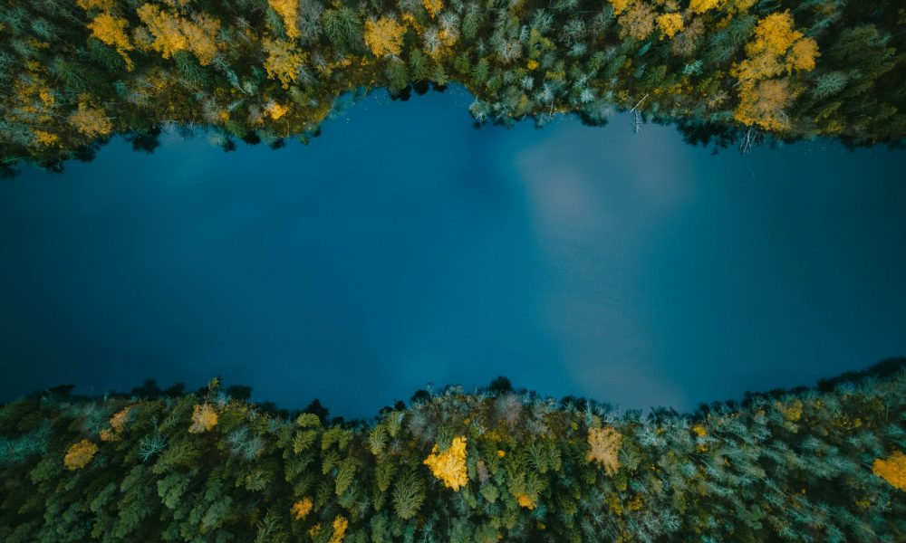 unsplash-community-XmV3DUhgQZw-unsplash